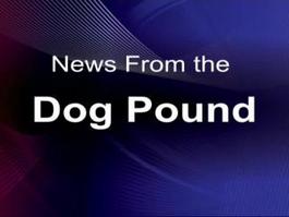 News from the Dog Pound Feb. 25th