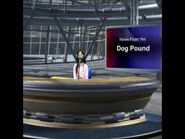 News from the Dog Pound April 12th