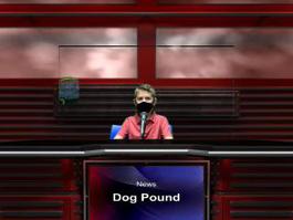 News from the Dog Pound August 24th