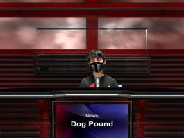 News from the Dog Pound August 31st