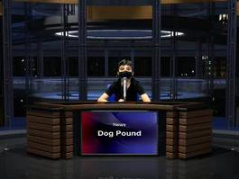 News from the Dog Pound Sept. 17th