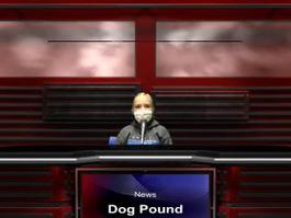 News from the Dog Pound September 27th