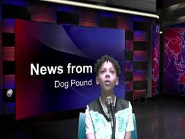 News from the Dog Pound March 30th