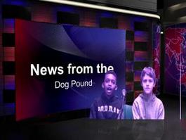News from the Dog Pound February 3rd