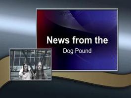 News from the Dog Pound September 11th