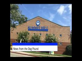 News from the Dog Pound October 8