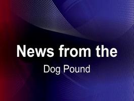 News from the Dog Pound November 21