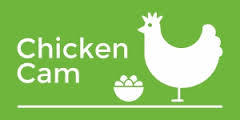 Wilson Creek Chicken Cam